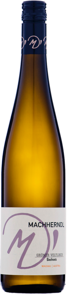 Grüner Veltliner Federspiel Bachsatz