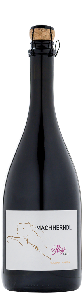 Rosé Sekt - non Vintage 
