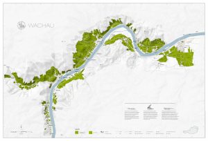 Riedenkarte Wachau